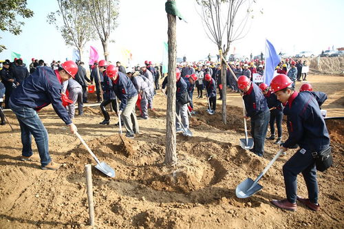 河北省第二屆 秦皇島 園林博覽會園林綠化工程開工