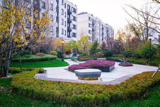 佛山地區(qū)專業(yè)承包園林綠化設(shè)計施工 花園養(yǎng)護工程 別墅設(shè)計施工