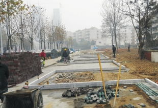 瑤海報數(shù)字報 打造精品綠化工程 建設(shè)生態(tài)園林城市