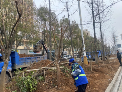 市園林和市政公用設施管護中心啟動市長虹大道綠化提升改造工程