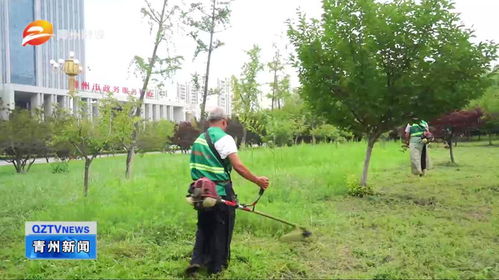 濰坊青州 加強(qiáng)園林綠化管護(hù) 提升城市綠色品質(zhì)