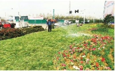 特色花境扮美西大門