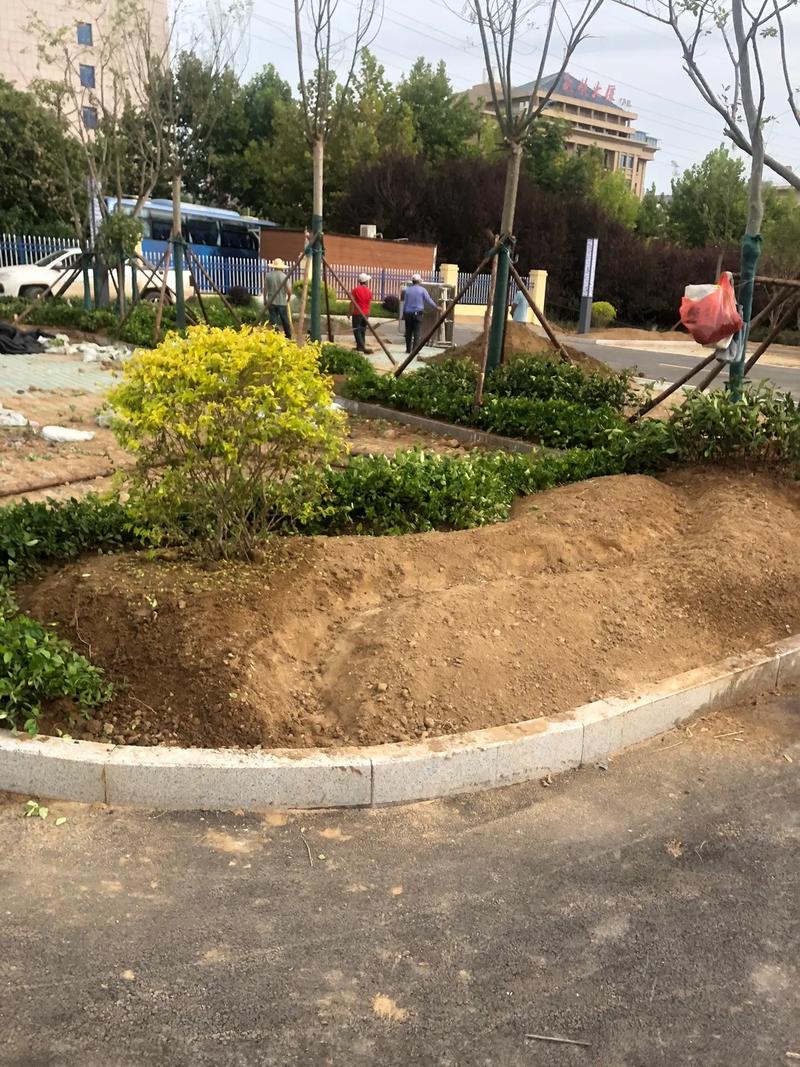 園林綠化工程 #小區綠化 #花園施工 #庭院景觀設計 #景