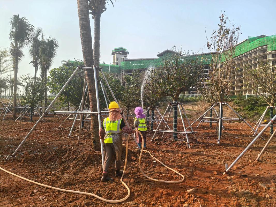 努力不一定有結果,但不努力一定沒有結果.專業園林景觀綠化施工