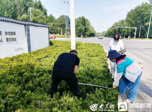 青州市園林綠化和環衛中心 卡準綠化施工精度尺，拉緊項目驗收質量繩——以高標準打造體育場地設施工程