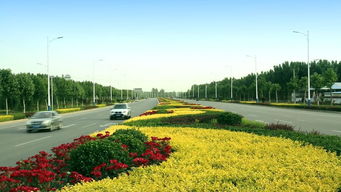 綠動磁州，健行未來 八項重點工程繪就園林縣城新畫卷